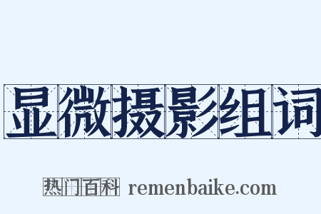 显微摄影组词是什么意思的图片